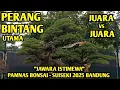 Lagu JAWARA ISTIMEWA 🤩 KELAS UTAMA PAMNAS BONSAI - SUISEKI 2025 BANDUNG 