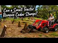 Testing the Cheapest Amazon Stump Bucket on Cedar Stumps - Will It Work