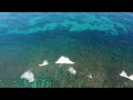 Watch the surfers floating around at Hideaways Beach Kauai Wednesday 25