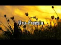 Download Lagu Uru - Freesia [lyrics romaji \u0026 terjemahan Indonesia]