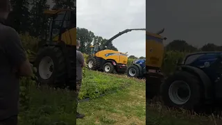 حصد الذرة صنايعية أدوات العمل الفلاحة المزرعة العطلة صيفية Agriculture Work Tools Work 