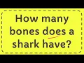 How many bones does a shark have