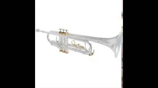 Compilation Trompette Rai Ancien Algerie Instrumental 