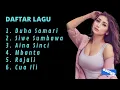 Download Lagu FULL DJ Biduan Bima Dompu