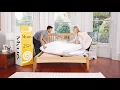 Myers Modern Bed in a Box Collection