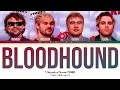 5 Seconds of Summer (5SOS) - Bloodhound | (Color Coded Lyrics)