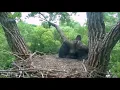 DECORAH EAGLES 2018 1 30 PM CDT TWO OF THE JUVIES ARE ROWDY