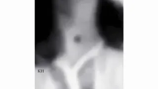 صوت بنت يجنن يالطيف الصوت ياخلي يلغلا سيد المزاييني 