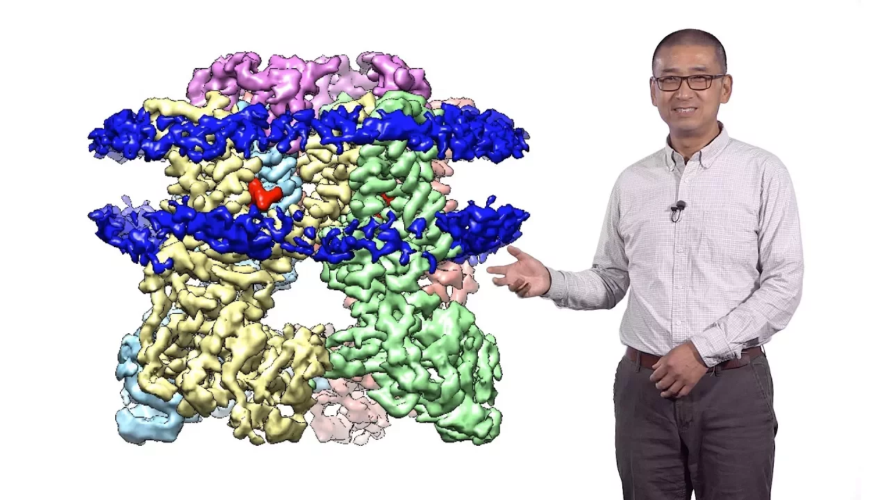 Yifan Cheng (UCSF & HHMI) 2: Single particle Cyro-EM of membrane proteins