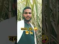 Download Lagu Tihar Jail Song by Anjali 99 and Vipin Mehandipuria #tiharjail #badmashi #badmashi_status #shorts