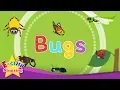 Bugs Kids Vocab Insects Bugs Butterfly Bee Ant Words