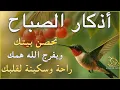 Download Lagu اذكار الصباح بصوت يريح قلبك راحه نفسيه💚حصن نفسك وبيتك من الشيطان   القارئ علاء عقل Morning adhkar