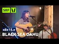 Download Lagu Black Sea Dahu live im Salzhaus Brugg | 8x15 | SRF Virus