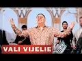 Lagu Vali Vijelie ✘ 1 ORA SUPER COLAJ HITURI MANELE 2026 | Cele Mai Ascultate Hituri