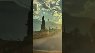 بغرامك طايح رايح 