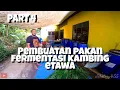 Download Lagu PROSES PEMBUATAN PAKAN FERMENTASI KAMBING ETAWA PART 4 DRKSTORY#55