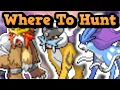 Top 5 Spots To Hunt Suicune In PokeMMO