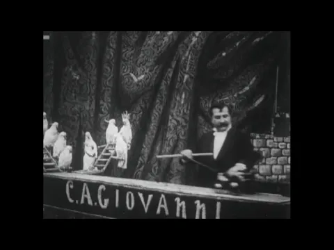 Perroquets savants (1904) Giovanni and His Trained Parrots