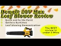 DeWalt 20V Blower Review - POWER test Battery Runtimes