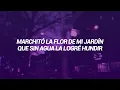 José Madero - Cum Laude (Letra)