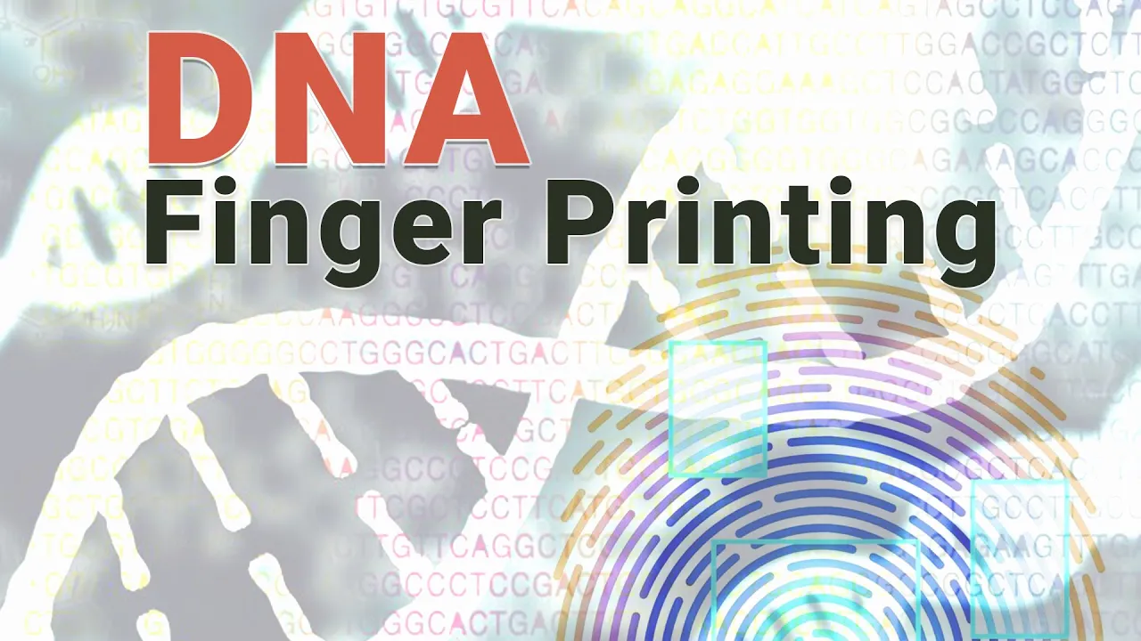 DNA Fingerprinting | STRs | VNTRs
