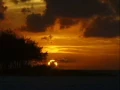 Gimme The Night - George Benson  (w/Lyrics)