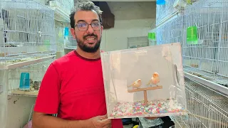 الجديد عند حمدي أجيو نتولعو ونتعرفو على أتمنة مختلف أنواع الطيور فرجة ممتعة 