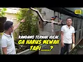 Download Lagu KANDANG TERNAK IDEAL MURAI BATU BUKAN BERARTI HARUS MEWAH | Episode 35