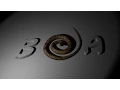 BOA Films Logo