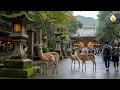 Download Lagu Nara, Japan🇯🇵 Ontdek de magische stad waar herten en tempels naast elkaar bestaan ​​(4K UHD)