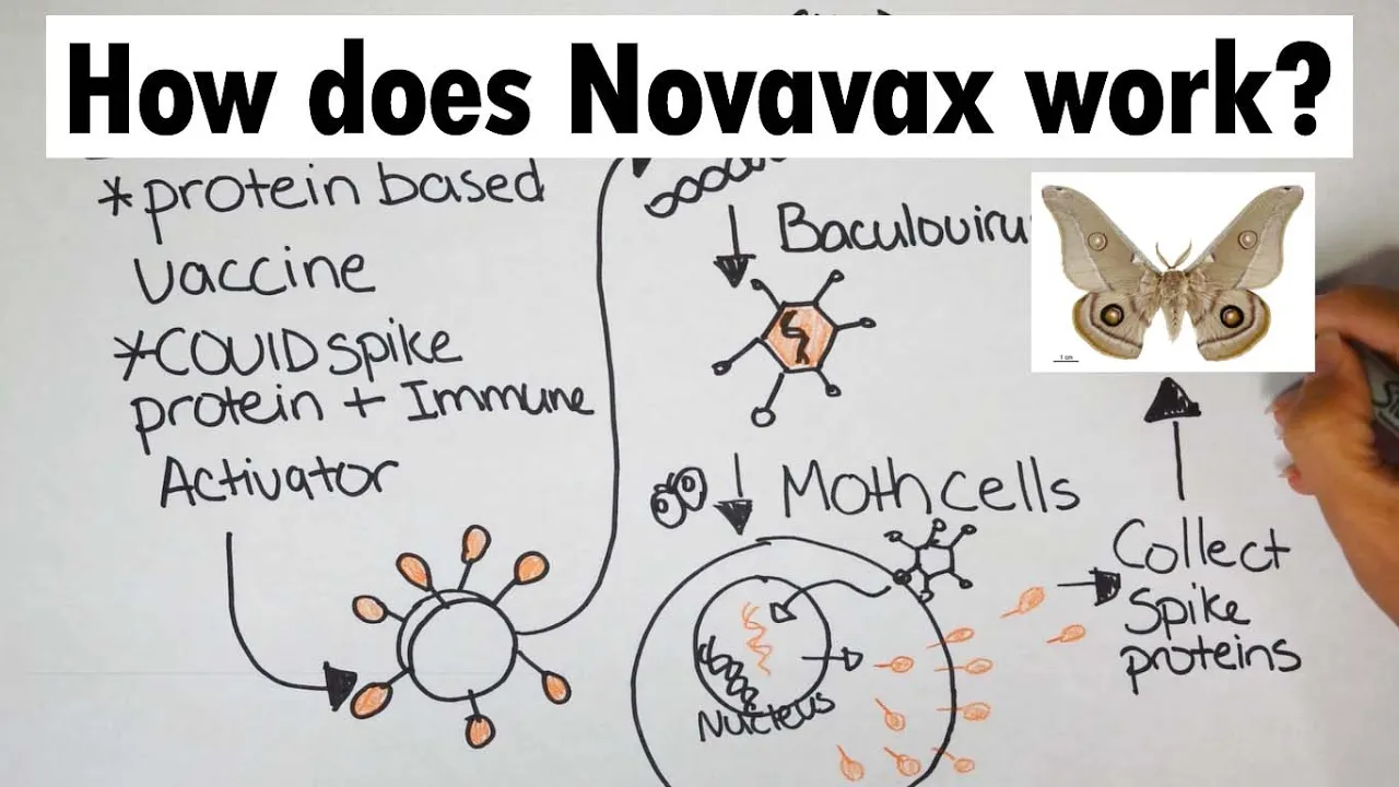 Novavax | How does Novavax work?