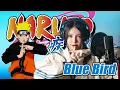 Download Lagu Blue Bird / Ikimono Gakari 【Naruto Shippuden OP3】cover by Amelia