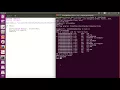 Shellcoding basics