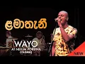 Download Lagu WAYO (Live) - Lamathani (ළමාතැනී)