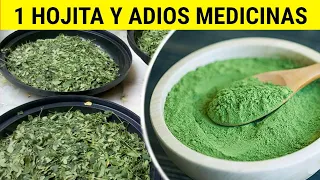 Esta hojitas tiene a mi ABUELA de 63 años como 1 ROBLE🌳 Con esta HIERBA a podido vivir al Máximo