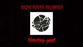 Download NDARBOY GENK - KICAU MANIA (SLOWED) TREND ON FYP TIKTOK🤩🥳 MP3
