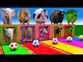 Download Lagu Long Slide Game With Cow Elephant Gorilla Hippopotamus Tiger - 3d Animal Game - Funny 3d Animals