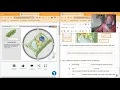 Cell Structure Plant vs Animal Cell Gizmo Explanation
