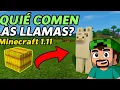 ALIMENTA a tu LLAMA con ESTE OBJETO SECRETO en Minecraft
