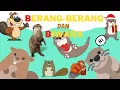 Download Lagu BANYAK YANG TIDAK TAHU! BEDA BERANG-BERANG DAN BIWARA | SUARA BERANG-BERANG | SUARA BIWARA