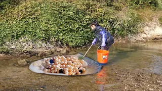 They secretly went to a mysterious place to dig for pearls and had a very good harvest.