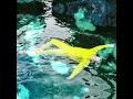 HAAi & Jon Hopkins - Baby We're Ascending (EN PH CH MY Lyrics)