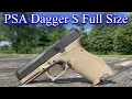 Palmetto State Armory Dagger S Full Size Frame - First Shots