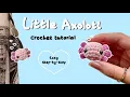 How to Crochet a Mini Axolotl Tutorial - BEGINNER FRIENDLY