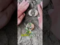 Download Lagu Master tools #🥚🌱🤔#tools #master #alltools #fypyoutube #diy #ytstudioes