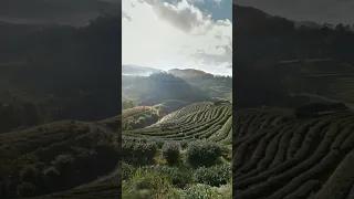 ياحبايبي ياغايببن الاستاذ فريد الأطرش طيب الله ثراه 