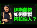 Download Lagu 为什么说：伊斯兰教，撕裂了阿拉伯民族？同文同种的阿拉伯，为何撕裂1300年？