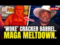 Download Lagu Roland Roasts MAGA Fools Over Their 'Woke' Cracker Barrel Meltdown