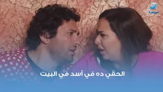 الحقي ده في أسد في البيت 