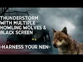 Download Lagu Thunderstorm with howling wolves and black screen. Sleep aid and wilderness sounds.